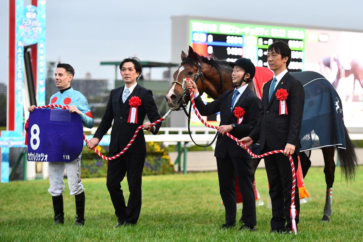 小形馬の鞍（再再度値下げします） 【公式通販】